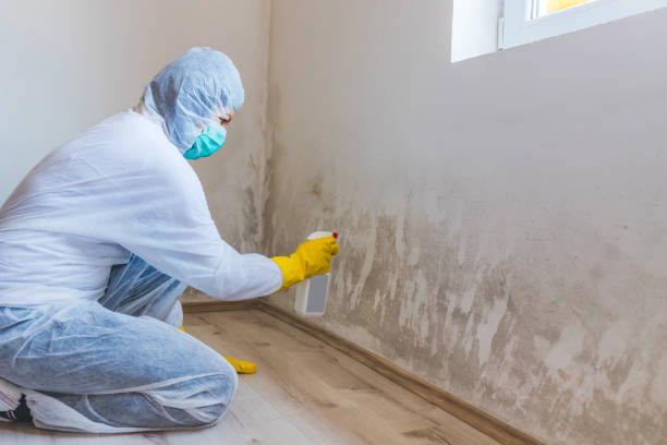 Licensed Mold Remediation service in Franklin, TX - Mold Remediation HQ