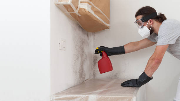 Professional Mold Remediation technician working in Franklin, TX