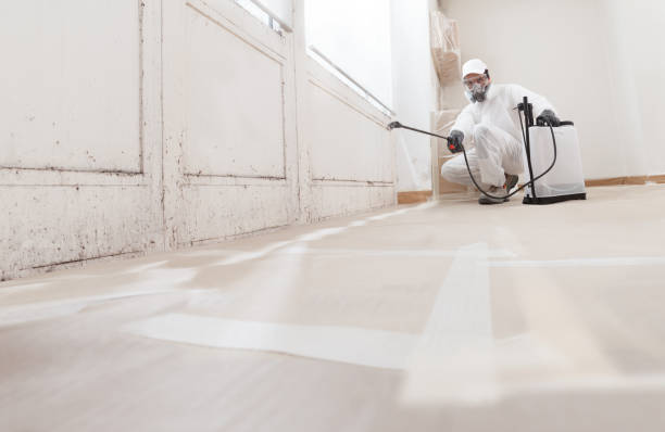 24/7 Emergency Mold Remediation experts in Franklin, TX