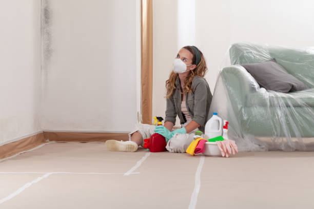 Reliable Mold Remediation contractor in Franklin, TX by Mold Remediation HQ